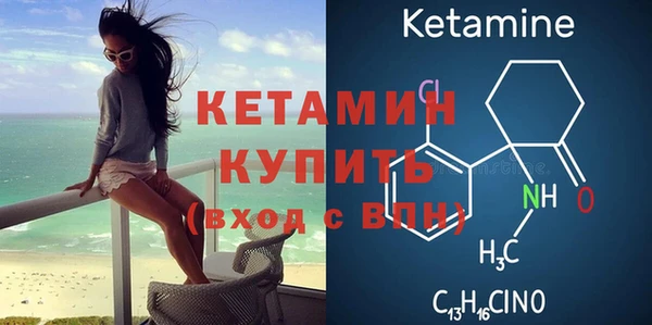 шишки Абаза
