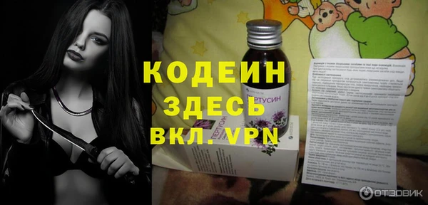 шишки Абаза