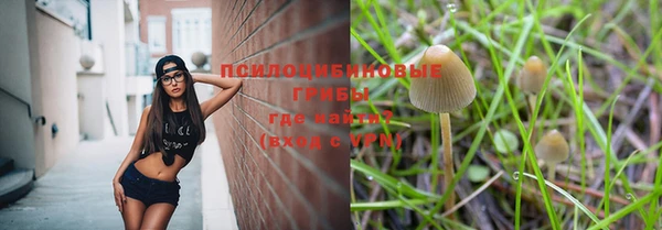 ПСИЛОЦИБИНОВЫЕ ГРИБЫ Абинск