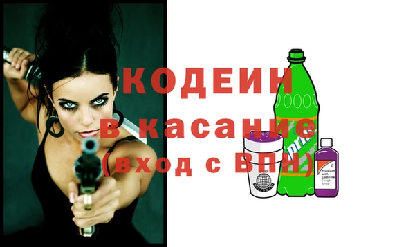 шишки Абаза