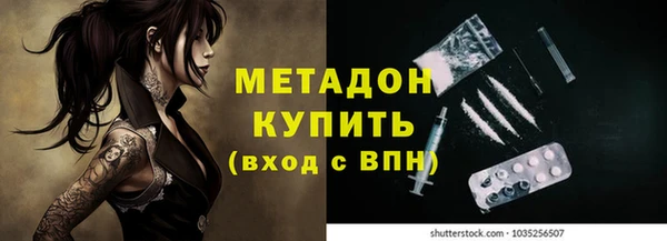шишки Абаза