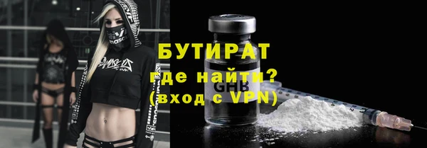шишки Абаза