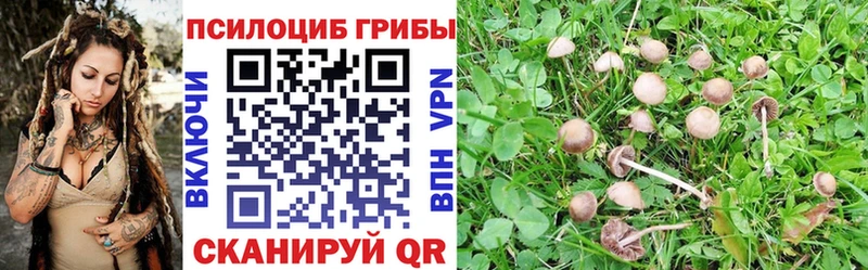 Галлюциногенные грибы Cubensis дарнет шоп Агрыз